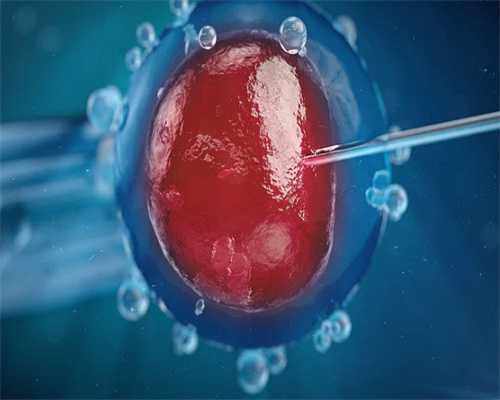 湖北试管医院排名第湖北大学人民医院,最新发布湖北试管医院排行榜?