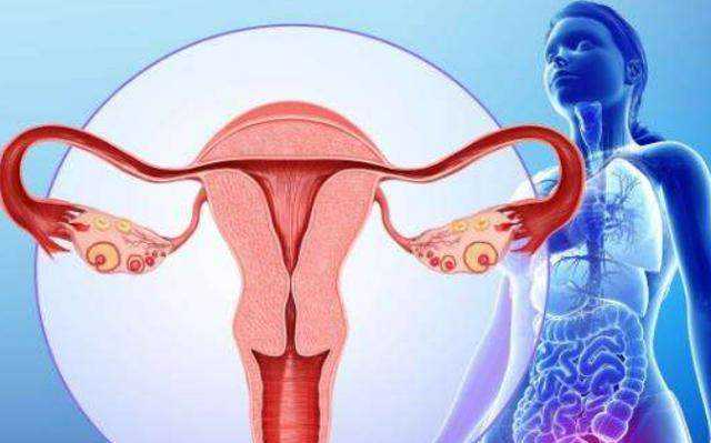 湖北省优质供卵代孕婴儿医院及费用解析