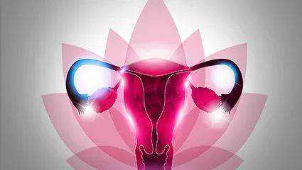 科兴疫苗与北京生物疫苗的差异解析